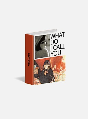 TAEYEON MINI COLLECT BOOK - What Do I Call You