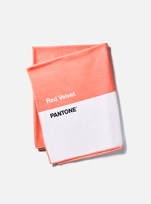 [PANTONE SALE] Red Velvet  2019 SM ARTIST + PANTONE™ SUMMER BLANKET