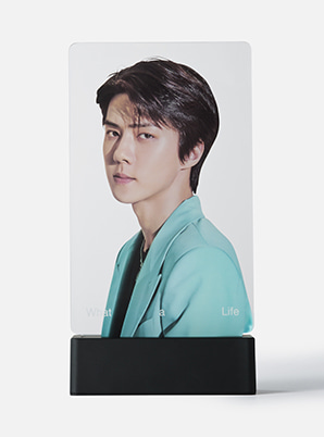 EXO-SC MOOD LIGHT PANEL - What a Life